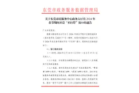 周知！东莞市民服务中心春节期间开设“不打烊”窗口图片