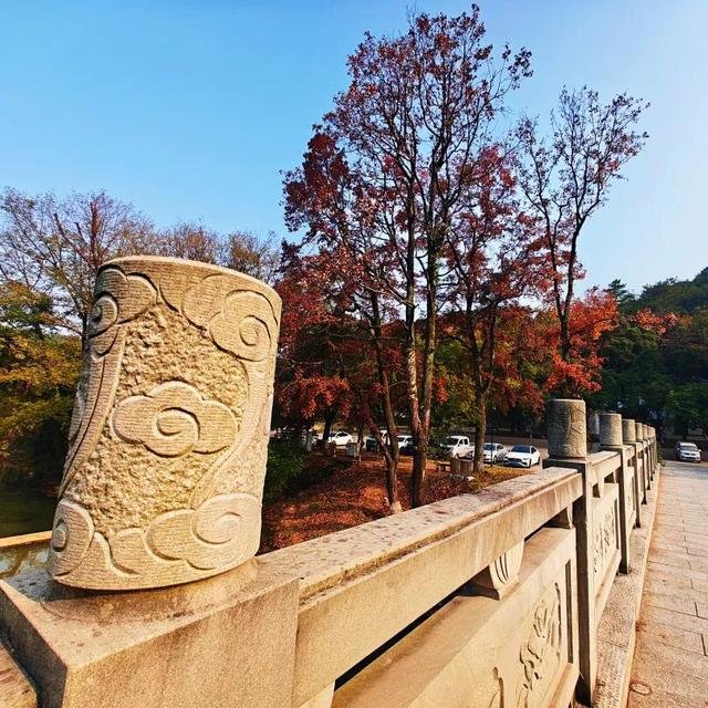 你好，青原山 | 这抹初冬红韵，藏着最热烈的山野浪漫