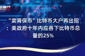 “卖肾保币”比特币大户再出招：美政府十年内应吞下比特币总量的25%视频封面