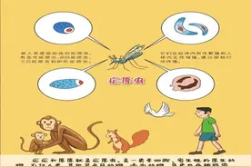 常德二医：疟疾不“虐”，教你防控小妙招！图片