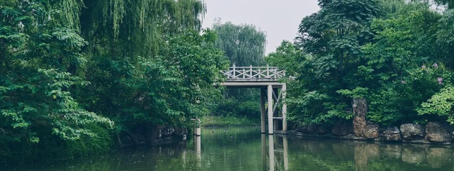 太好了！洛阳这场“补水喷雾”终于要停了！