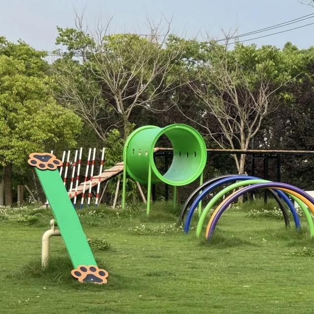 3000㎡！属于萌宠的gogoland帮你找到了！