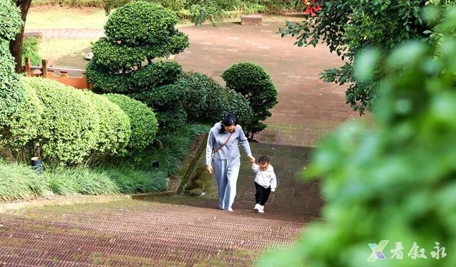 速来打卡！叙永桂花“限定返场”，这份秋日惊喜只为你！