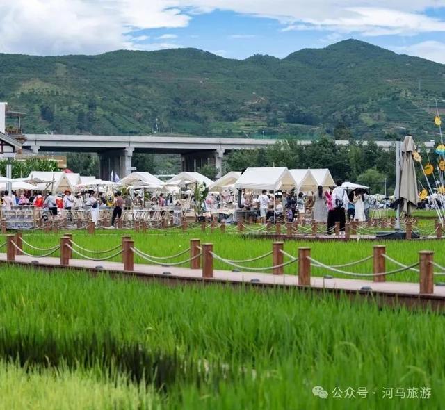 【五彩凉山•夏季清凉】陌上姜州： 把脚印印在稻浪翻滚的地方
