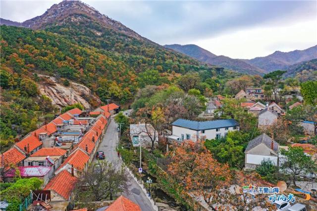 出发！抓住秋天的尾巴！威海“拾秋地图”上新啦