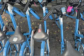 共享单车被色情网址及各类“小广告”盯上？清理工作如何做？图片