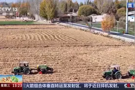 沙地里长出万亩良田 在塔克拉玛干沙漠能种些啥？图片