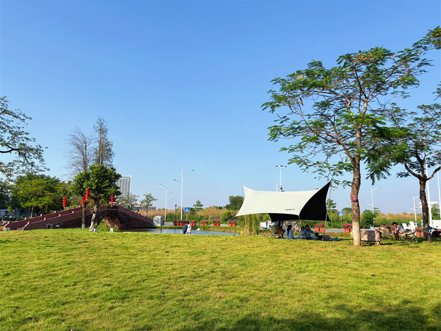 古桥新生，水乡焕彩！杏坛如何让600年历史“活”在当下？｜蝶变·新生——顺德十镇街“百千万工程”成效巡展⑥