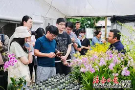 五指山一座兰花基地的生态价值变现图片
