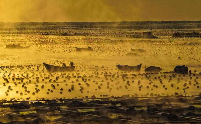 绝美！雪后荣成海湾上演“海浩”盛景