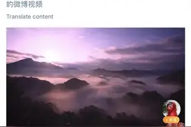 半两财经 | 停更3年 李子柒更新视频回归图片