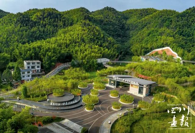 画卷天府·熊猫盛典｜竹韵长宁 绿动天府：一座城的生态文旅焕新之路