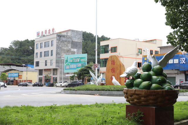 35公里的快乐清单！肇庆德庆“龙飞凤舞”乡村之旅等你来