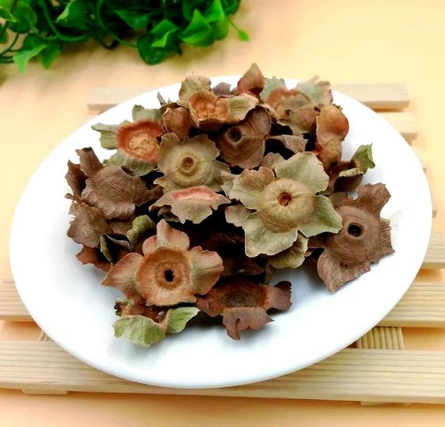 晚潮｜柿蒂之美