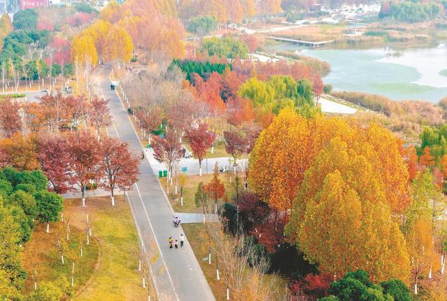 初冬美景入画来