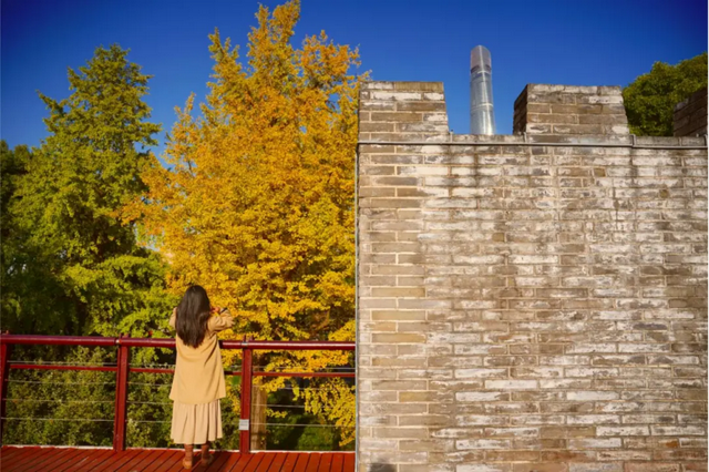 上海市中心又一公园拆除围墙！内藏明城墙和宝藏机位！怎么还有个“灶披间”？