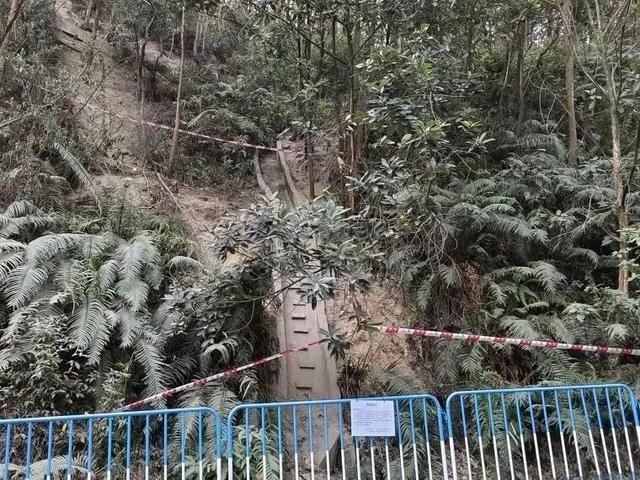 广州大夫山“画马”路线已封闭，官方推出替代路线