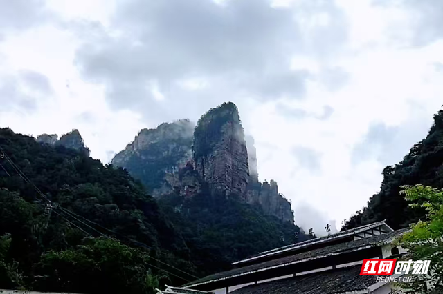 雾锁杨家界峰墙，雨后张家界藏着夏天的浪漫