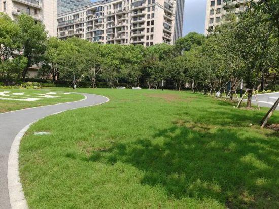 新一批宠物友好公园上线 上海踏秋遛宠增好去处