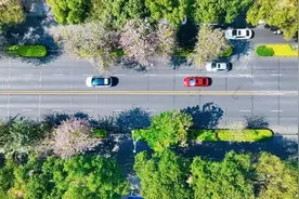 春日限定！玉城“网红路”已上线图片