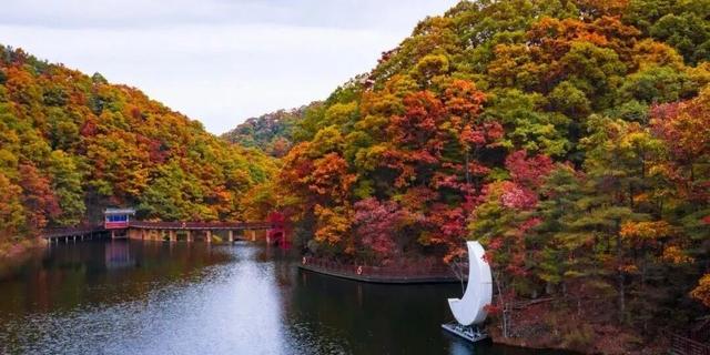 亮相央视！洛阳这些赏秋地，太美！