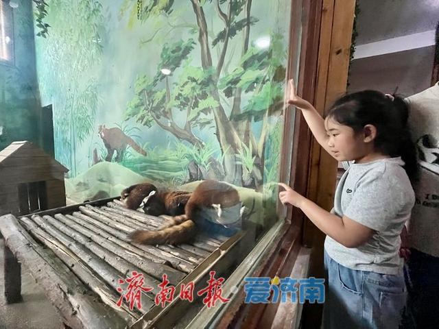 抓住暑假“尾巴” 济南亲子游再升温