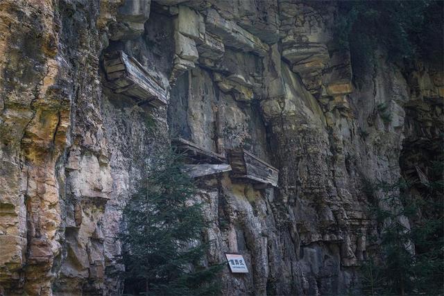 旅行商点评芦芽山：18℃云杉林中我穿上了秋装