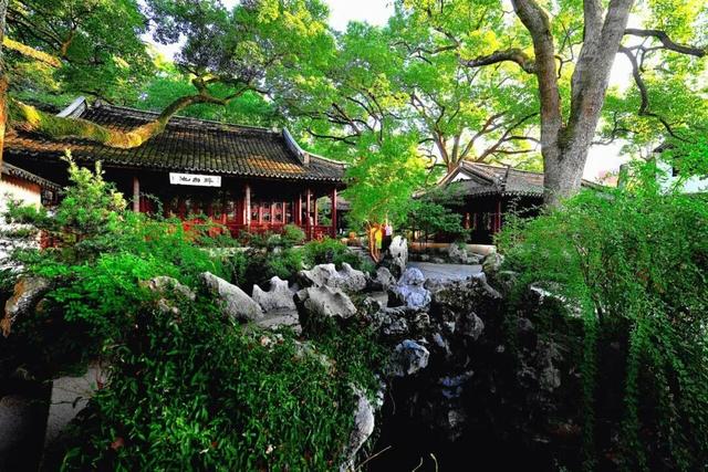 客商“组团打卡”，酒店入住满房！松江借力进博会打响“上海之根”文旅大IP