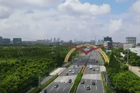 自贸区“原点”崛起生物医药产业高地图片