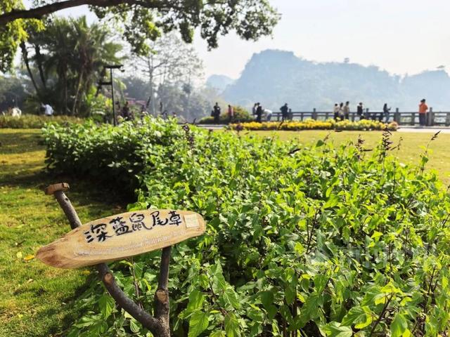 速来打卡！柳州龙潭公园核心景区，完成升级改造！