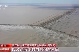 交叉潮、对撞潮、鱼鳞潮……钱塘江上的这些“顶流”你都认识吗？图片