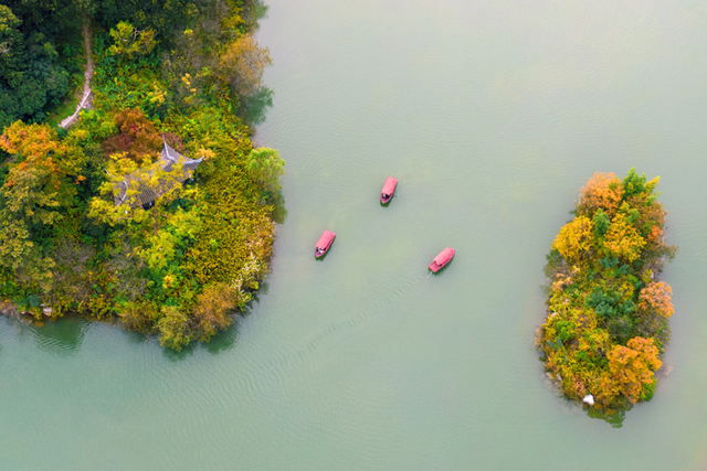 镇江，你变了！