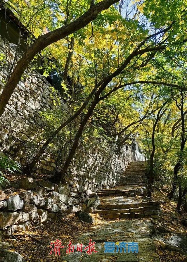 一城山色·泉城绿道 | ③大千佛山片区及周边景区绿道连通惠及广大市民