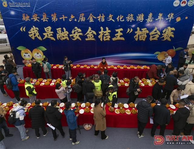 融安县第十六届金桔文化旅游嘉年华活动启幕