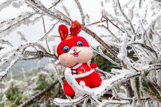 出片率99.99%！快来邂逅綦江版“冰雪奇缘”