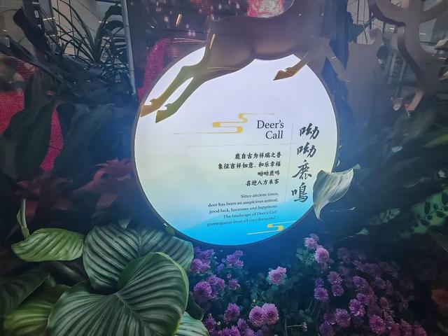 月满京城，站站生花！“七站两场”中秋打卡指南来了！