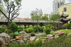 城市更新进行时：这一旧城改造项目助力城市焕新颜图片