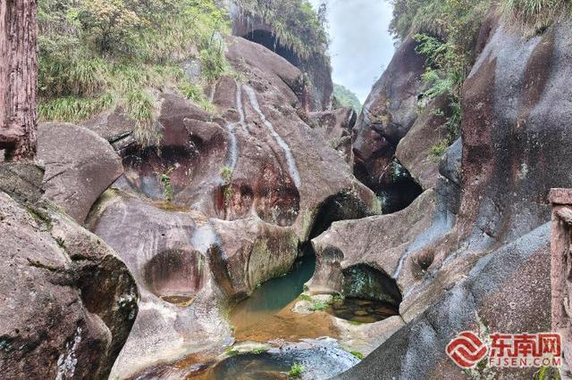 红柿映山海 宁德全域旅游四季皆景
