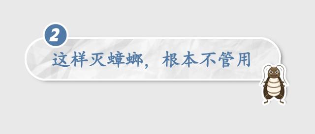 头皮发麻！蟑螂会咬人？专家说……