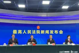 人民法院“六五”改革纲要：推动建立轻微犯罪记录封存制度图片