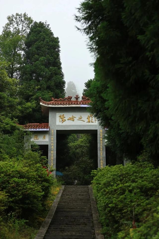 “我想离开看浪浪山”，去江西看看！