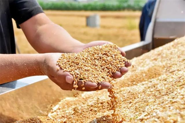 锦绣定州丨五彩铺陈画卷，一念倾心！