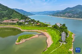 重庆万州：打造绿色生态长廊 筑牢三峡库区生态屏障图片