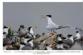 哪种工作日薪300包食宿还特适合i人？真相是……图片