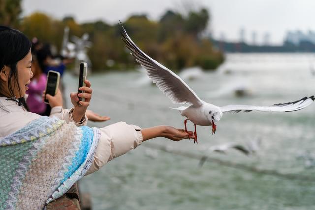 滇池：美景如画引客来