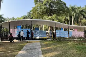 2025年了，相亲角的受众到底是谁？图片