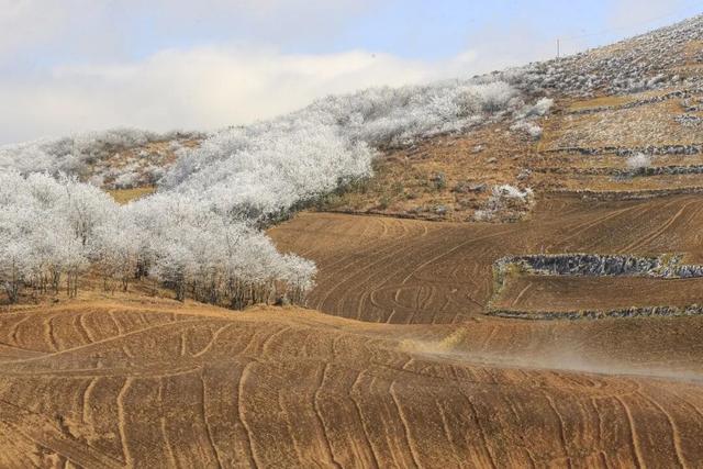超出片！毕节冬日限定美景进入最佳观赏期