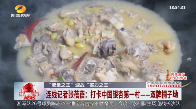 湖南经视记者现场连线双牌桐子坳、青龙岩景区