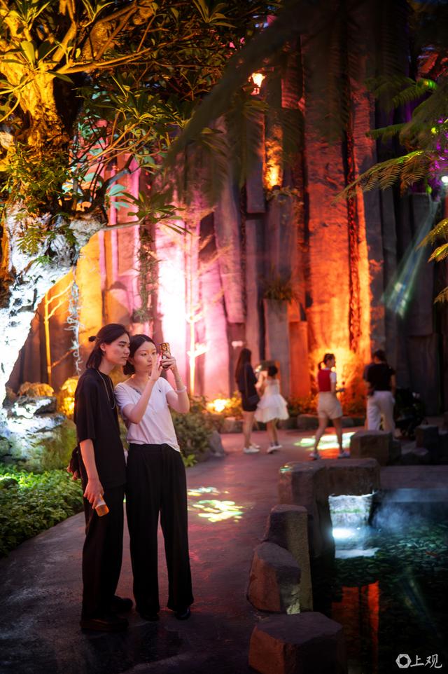 城事｜星光与绿意交织：上海温室花园夜游点亮夏夜生活
