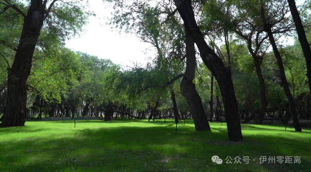 【民族团结进步】哈密历史文化主题公园：打造“行走的课堂”